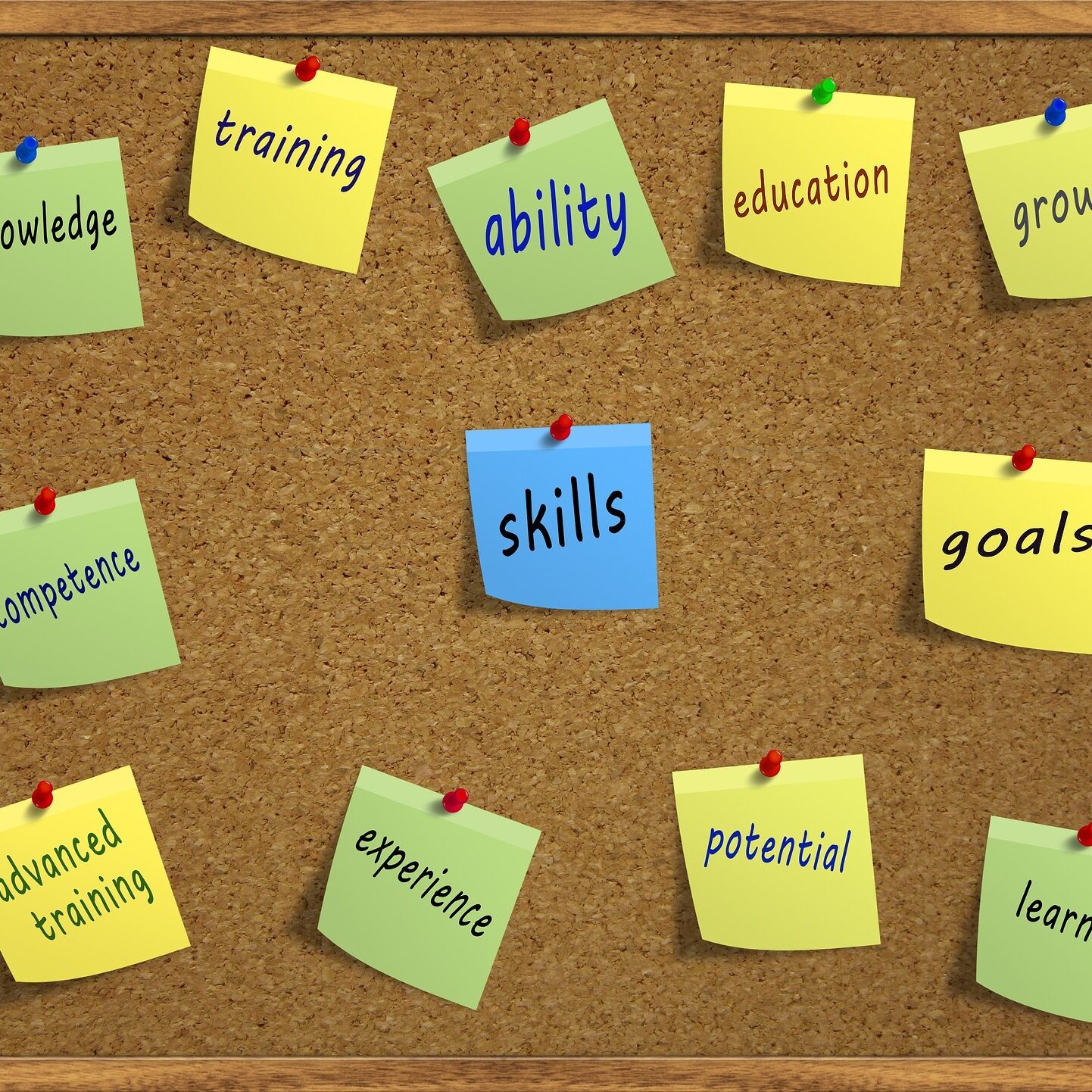 skills-3270306_1920